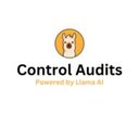 Control Audits 