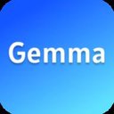 Google Gemma 