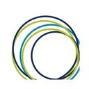 International Society for Technology in Education (ISTE) 
