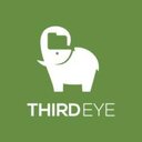 ThirdEye Data 