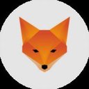 TweetFox 