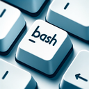 Bash Scripting 