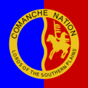 Comanche LLM 