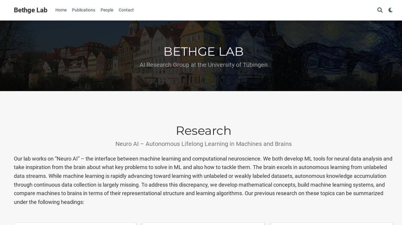 Bethge Lab Screenshot