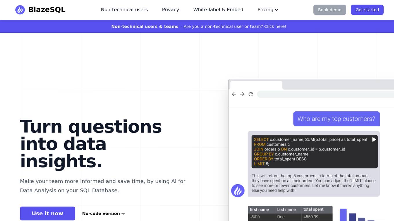 Blaze SQL AI screenshot