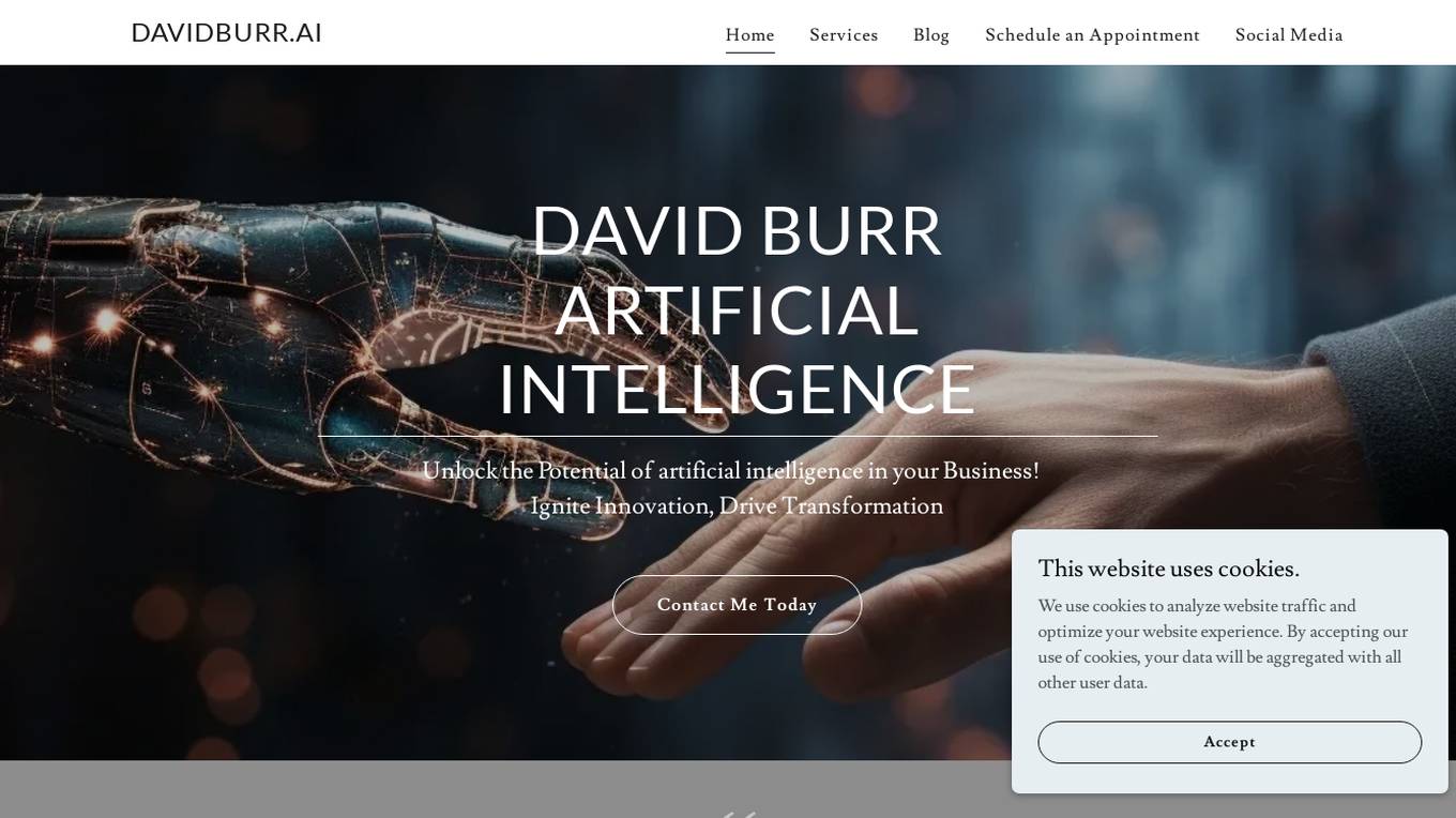 Davidburr.ai screenshot