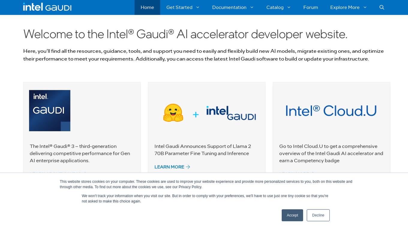 Intel Gaudi AI Accelerator Developer screenshot