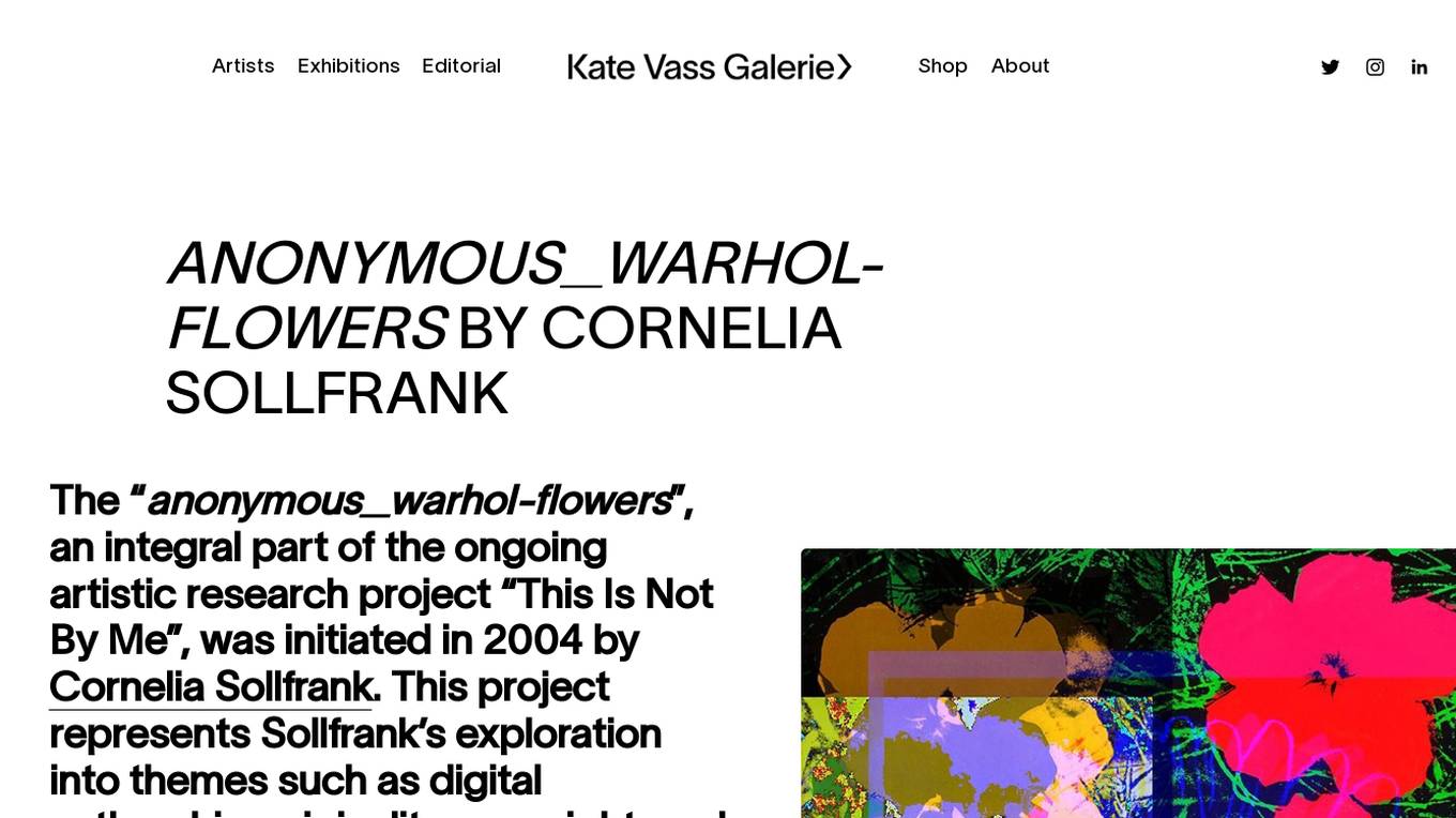 Kate Vass Galerie Screenshot