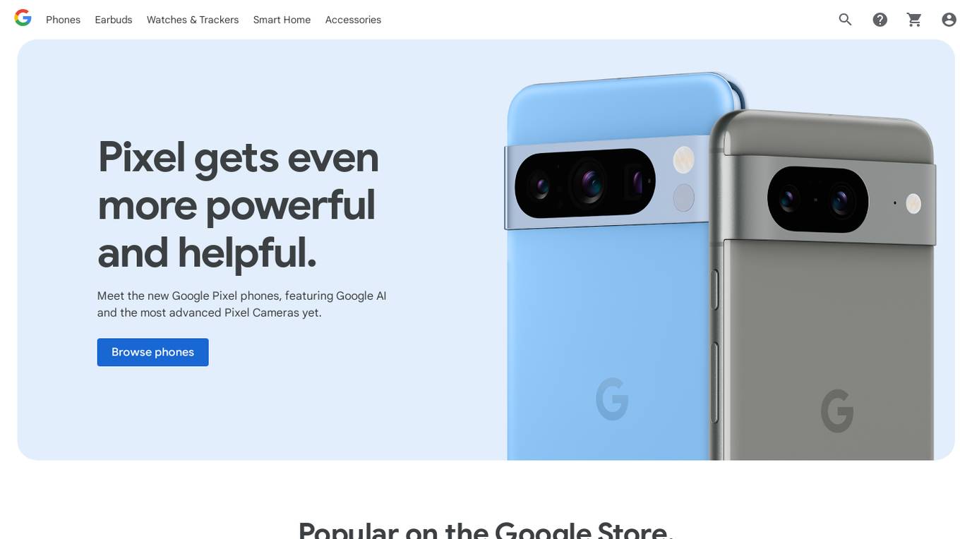 Google Store Screenshot