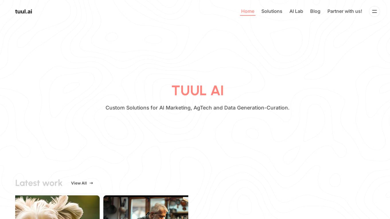 tuul.ai Screenshot