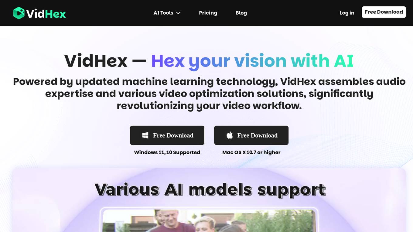 VidHex Screenshot