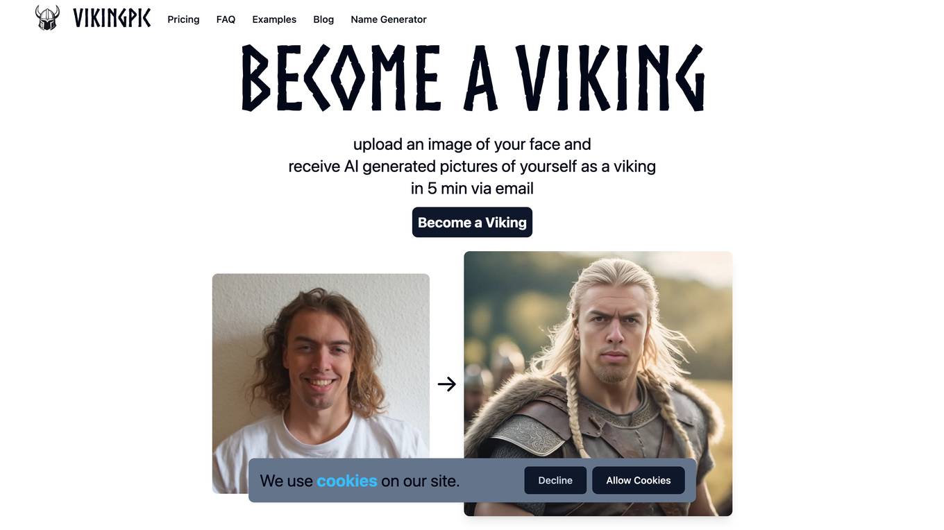 VikingPic Screenshot