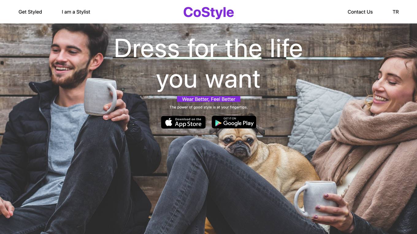 CoStyle Screenshot