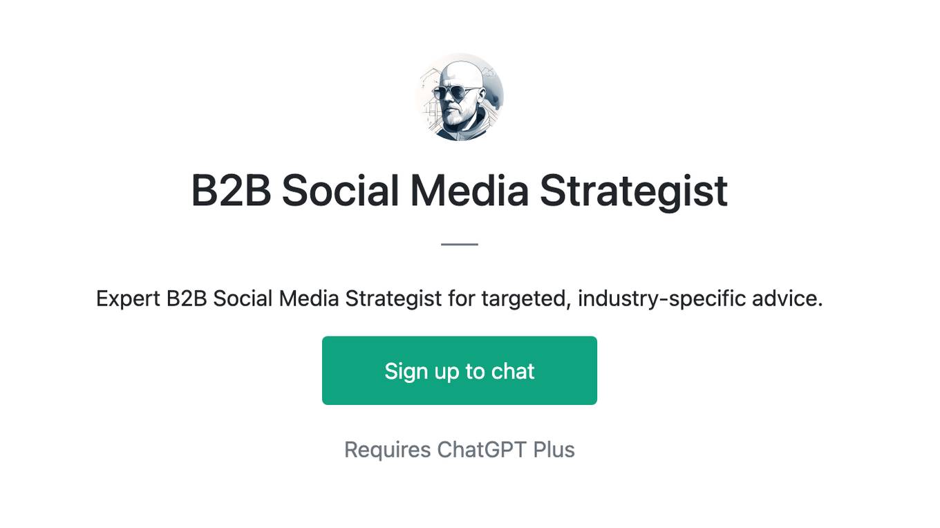 B2B Social Media Strategist Screenshot