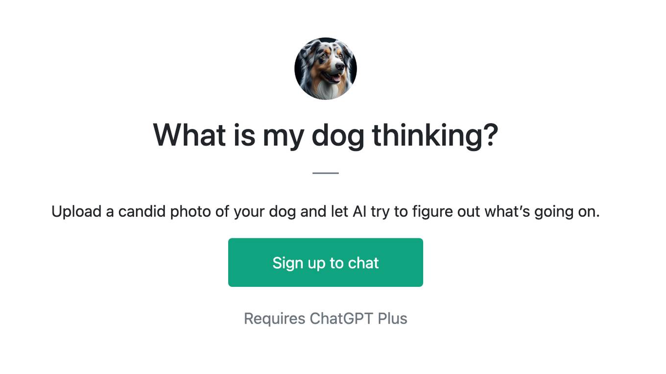 What is my dog thinking? Screenshot