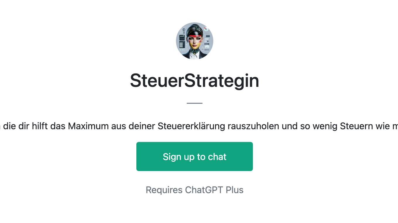 SteuerStrategin Screenshot